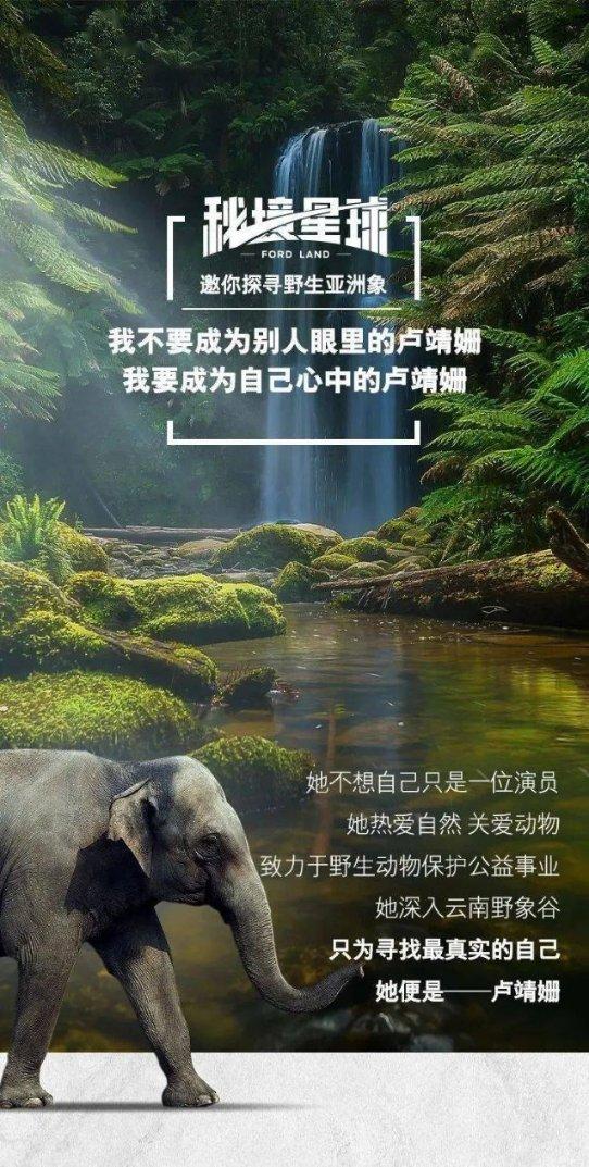 迷失在街头的男孩