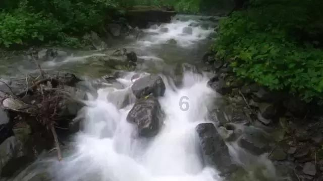 半条命2