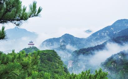 拯救穆尔小马